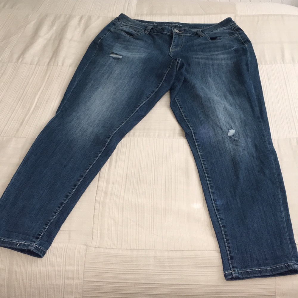 Lane Bryant Boyfriend Genius Fit Jeans.